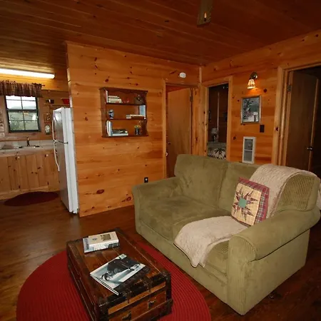 Mountain Springs Cabins Candler Exterior foto