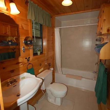 Mountain Springs Cabins Candler Exterior foto